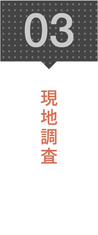 3.現地調査